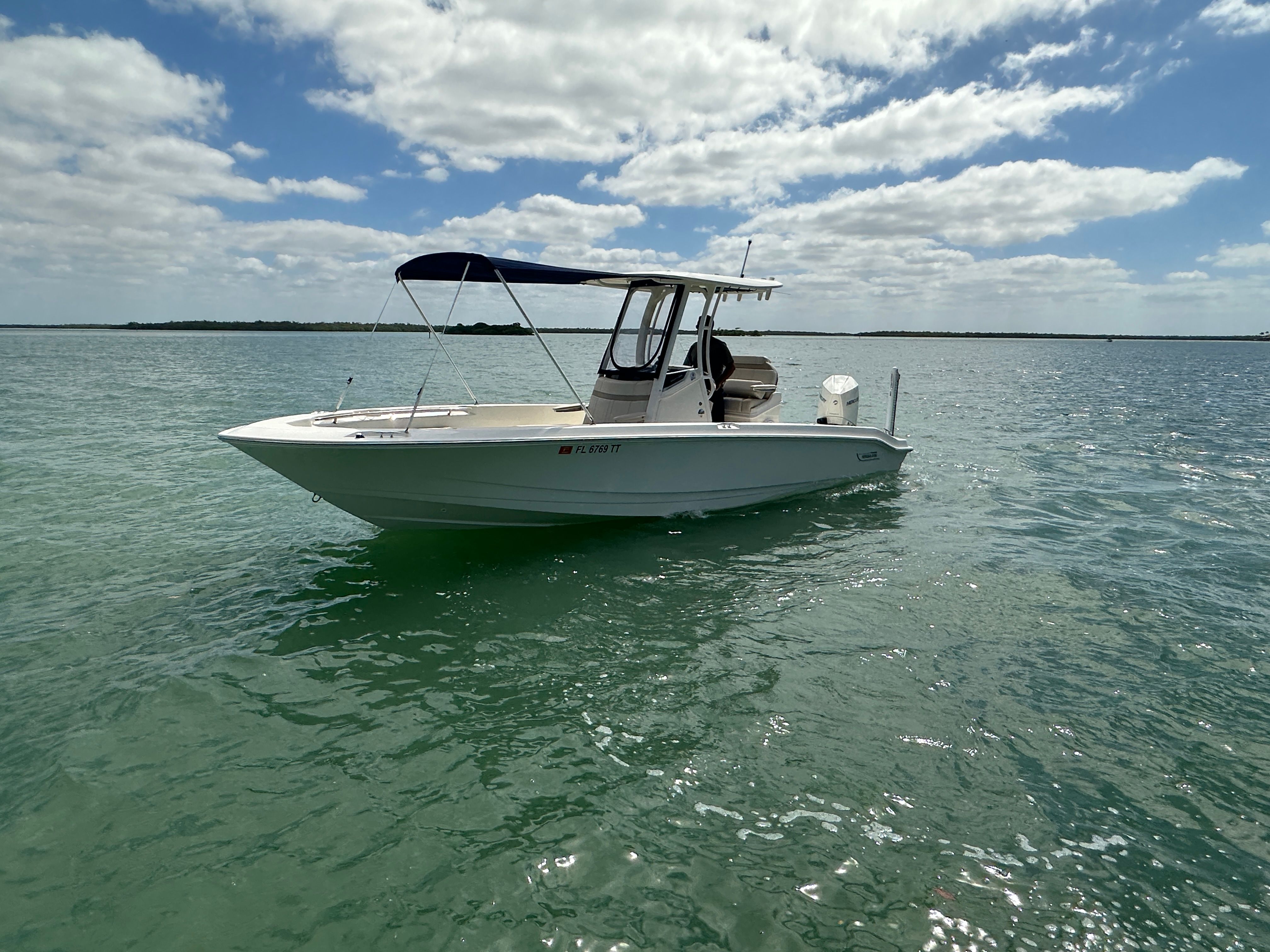 2024 Boston Whaler 250 Dauntless - 11