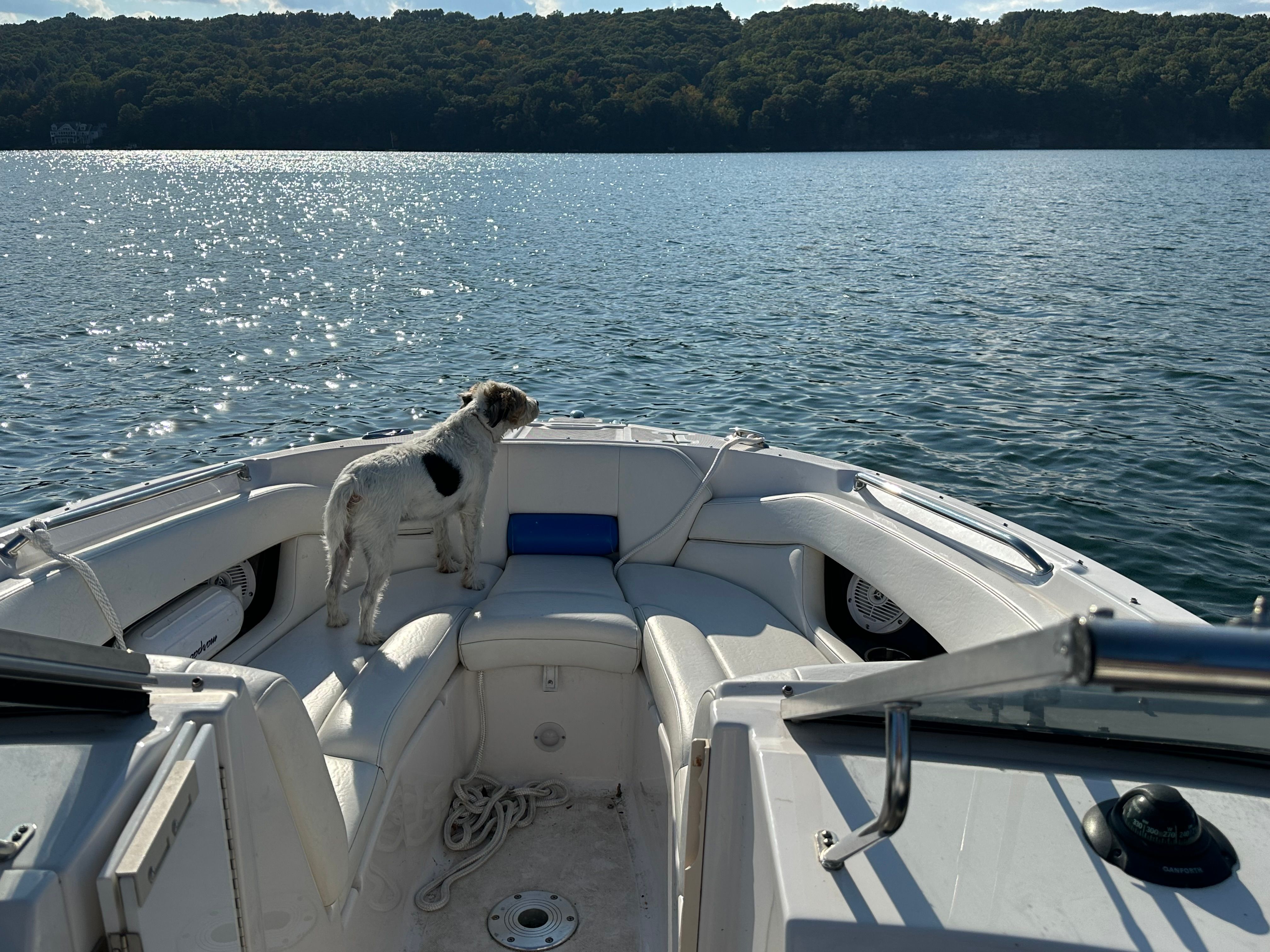 2007 Regal 2700 Bowrider - 8
