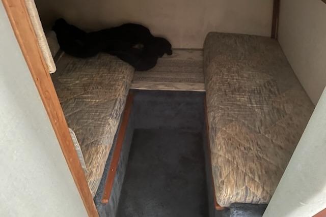 Interior cabin of 1989 Sea Ray 300 Sundancer with twin beds and carpeted floor.