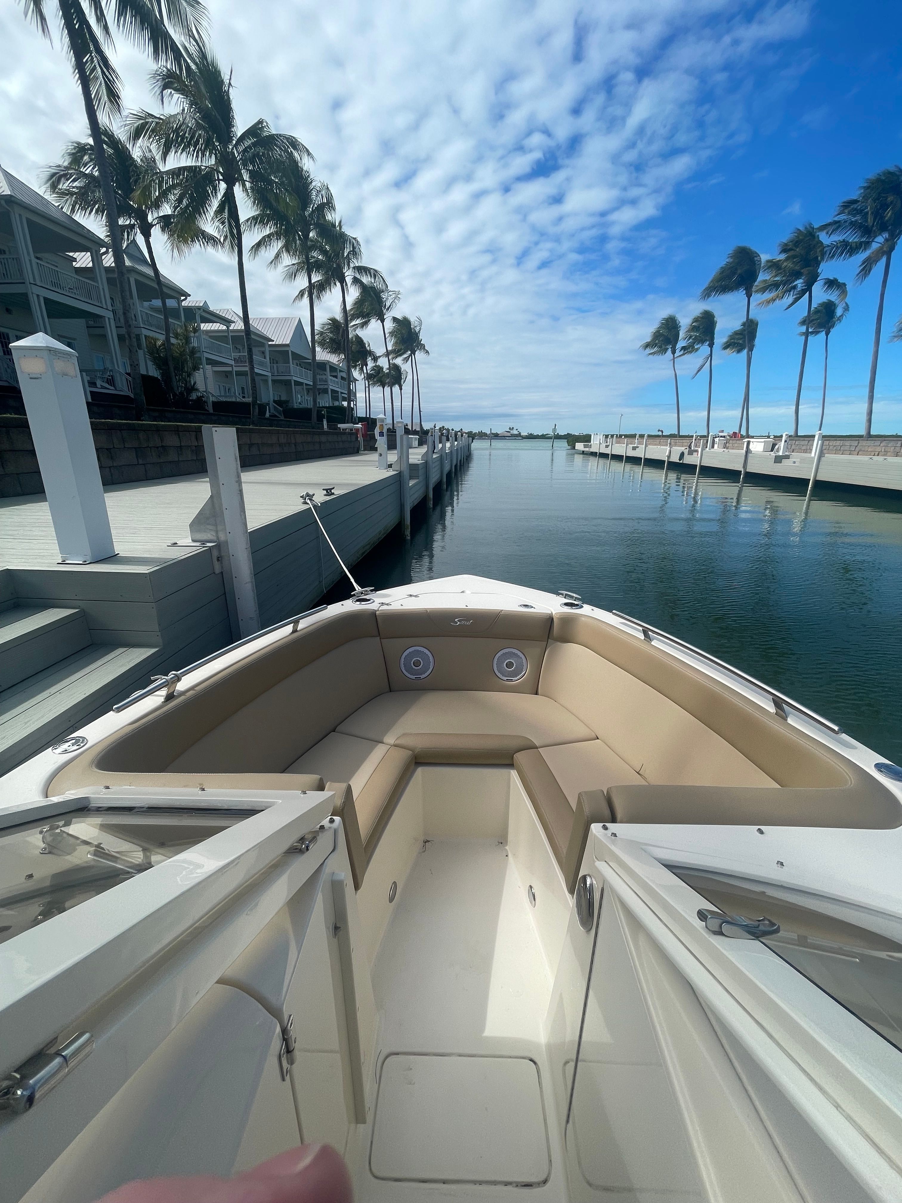 A 2020 Scout 235 Dorado docked at a serene pier with palm trees in the background.
