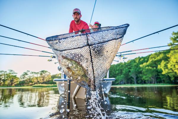 2025 Tracker Pro Team 175 Crappie Edition - 66