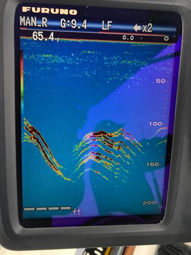 Fish finder display on 1979 Chaparral 224 Fisherman, showing underwater depth and temperature.