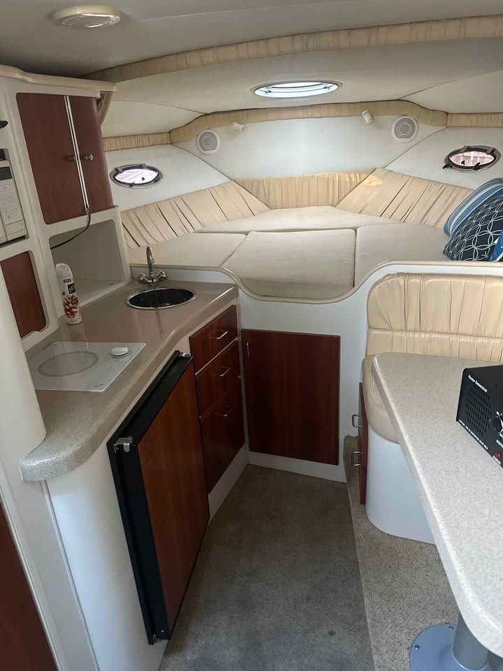 2001 Chris-Craft 308 Express Cruiser - 16