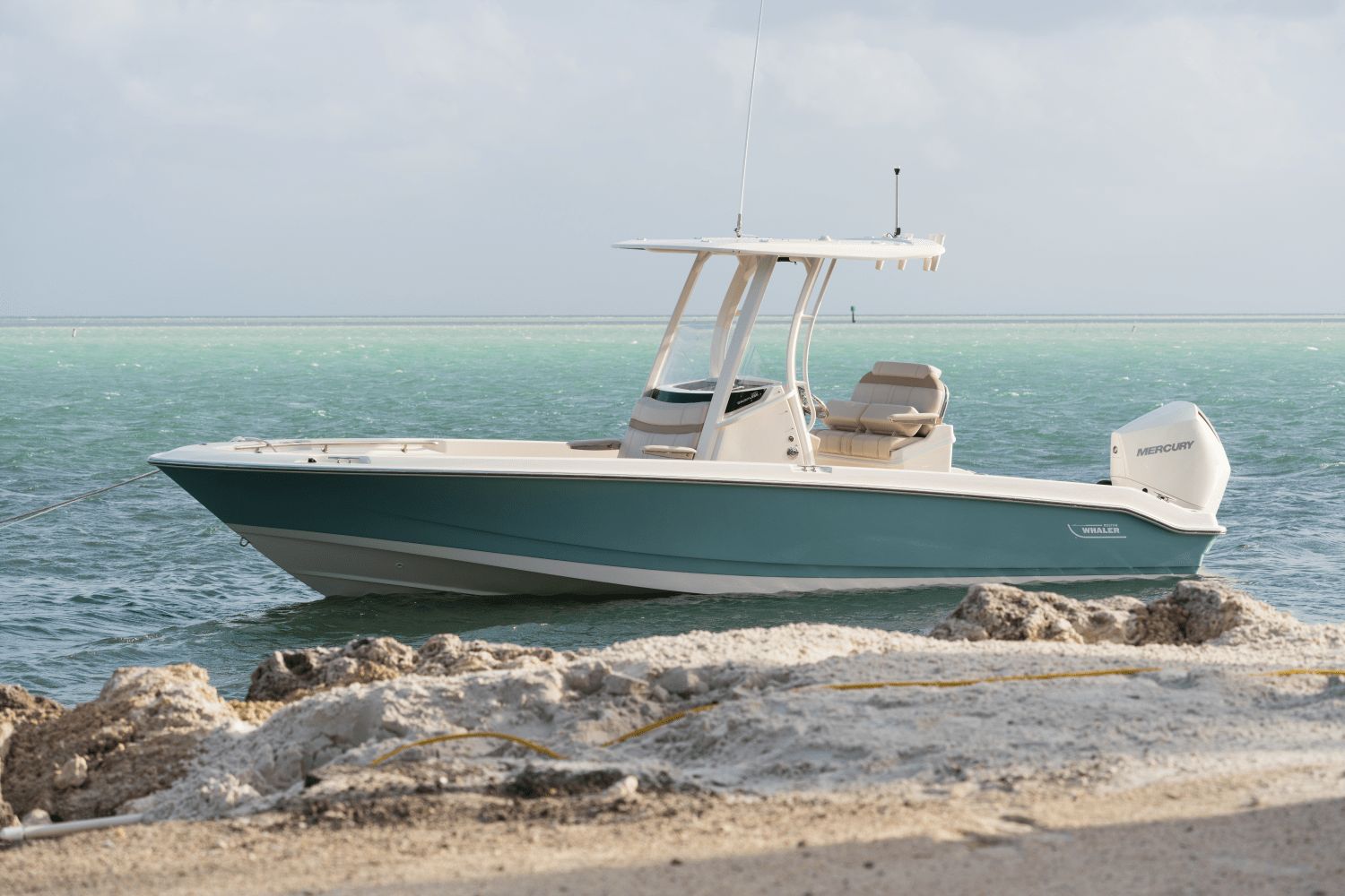 2026 Boston Whaler 250 Dauntless - 17