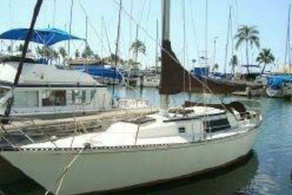 1981 Newport C and C Sloop