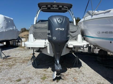 2020 Cobalt SC23 boat with Yamaha 250 outboard motor.