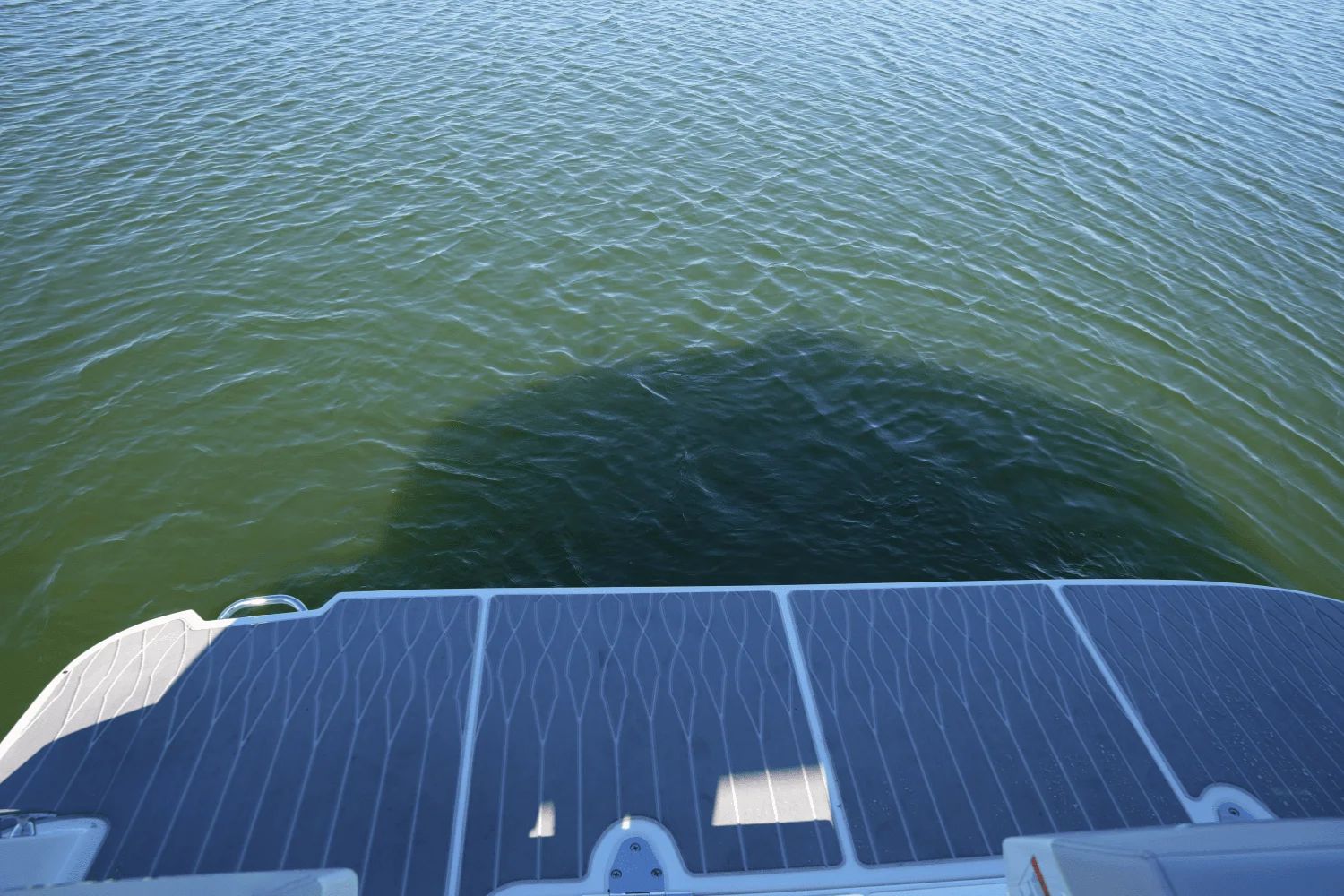 2025 Sea Ray Sundancer 370 - 10