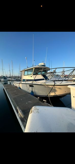 1995 Farallon Whaleback - 7