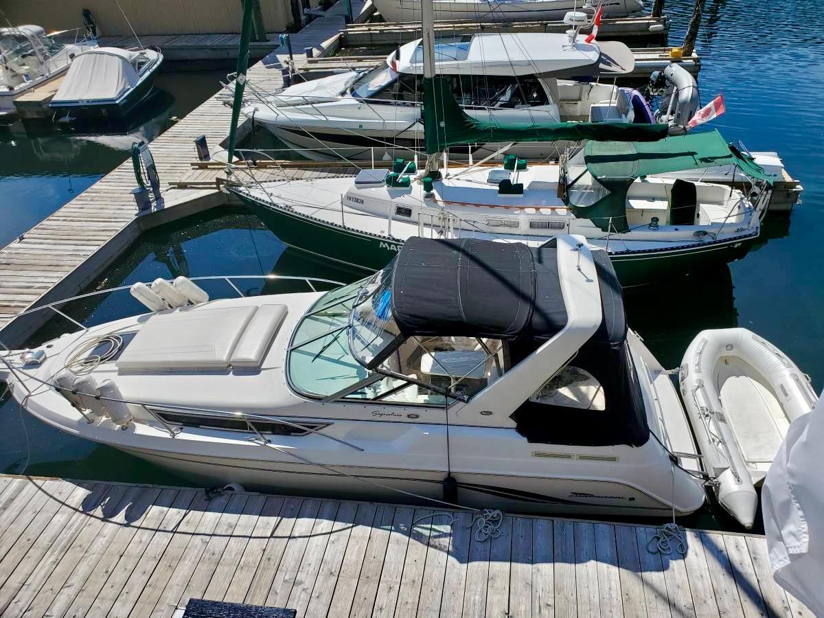 2002 Chaparral 290 Signature