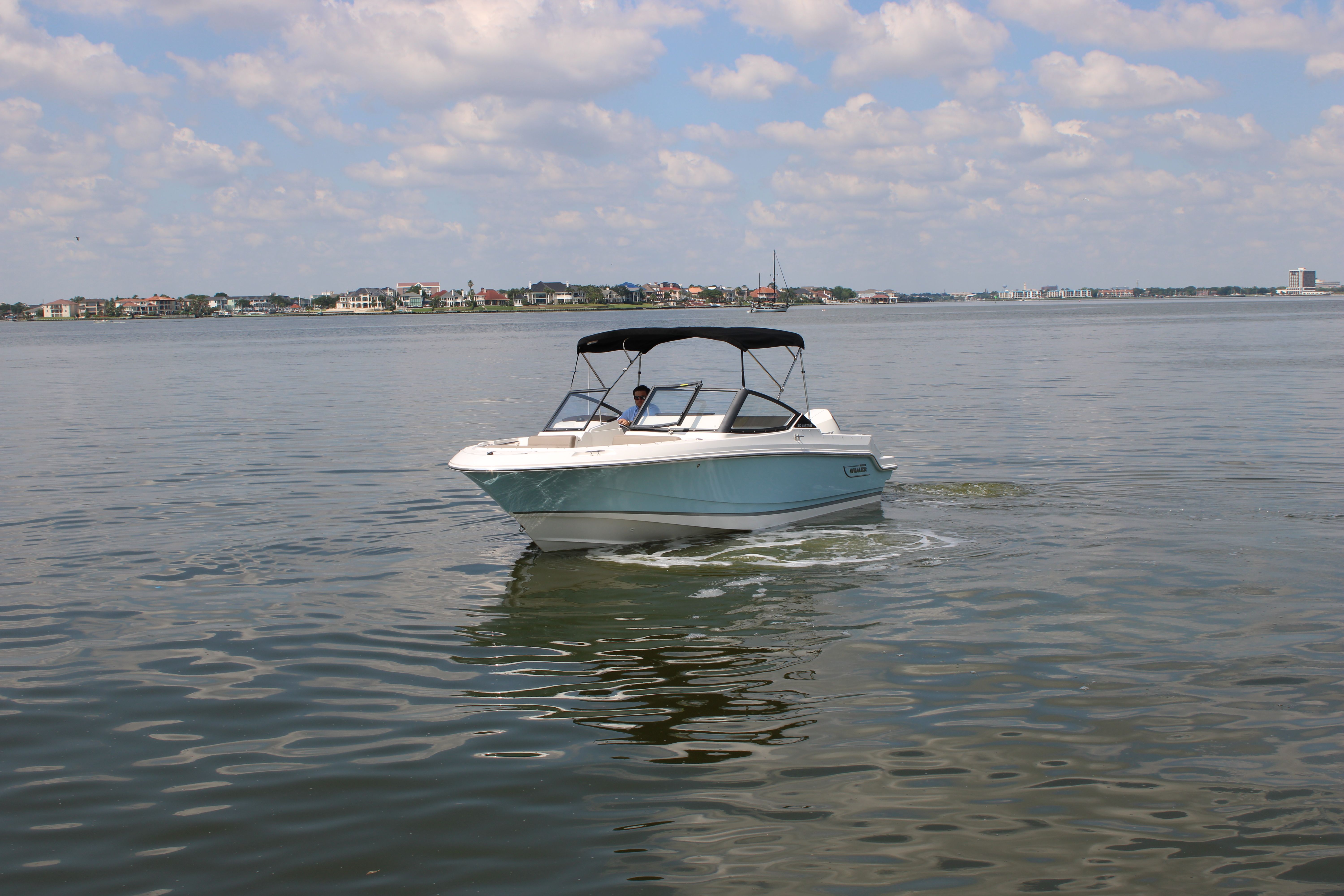 2026 Boston Whaler 210 Vantage - 4