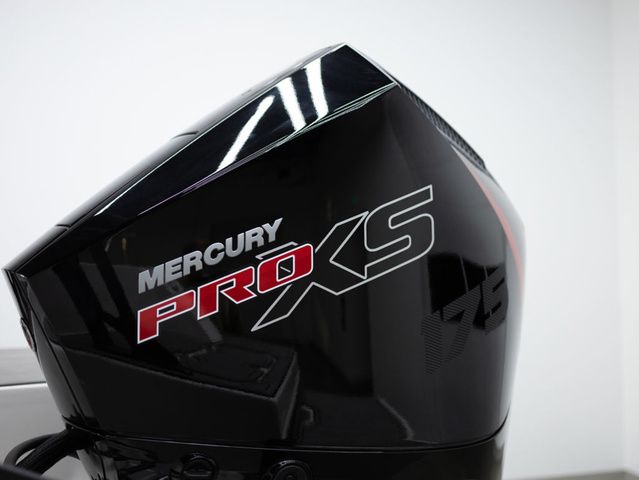 2025 Starcraft SVX 191 OB - 7
