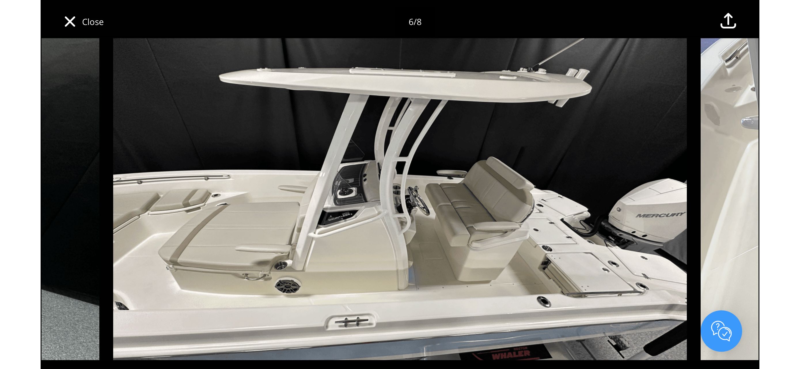 2025 Boston Whaler 250 Dauntless - 9