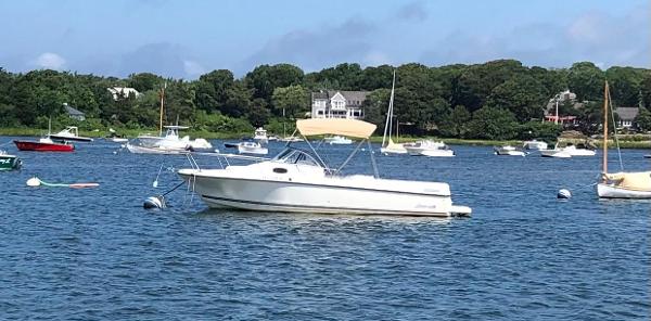 1998 Shamrock 246