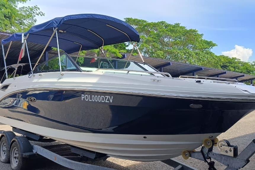 2022 Sea Ray SDX 250
