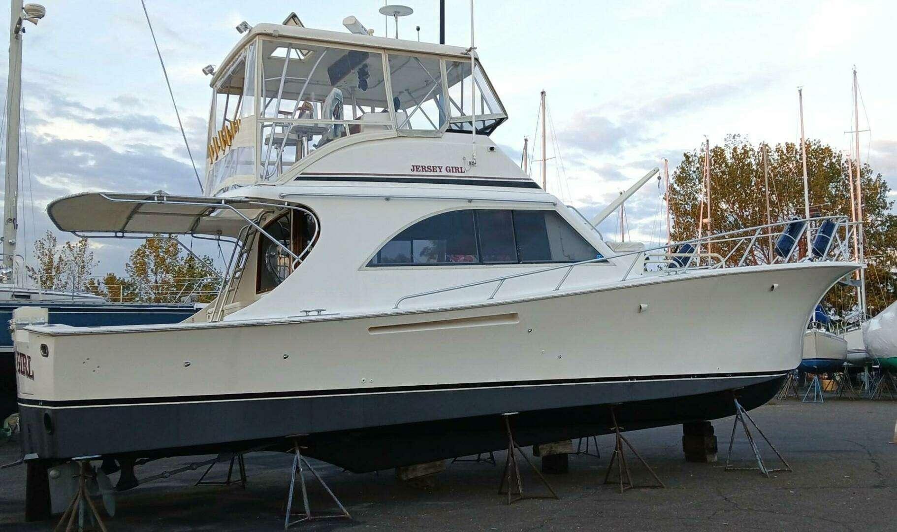 1991 Jersey Dawn - Image 6