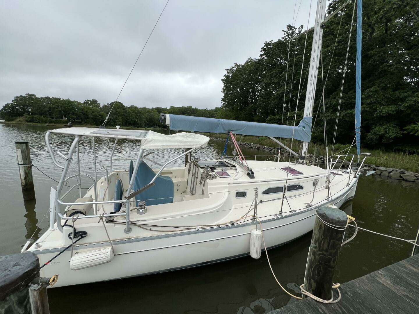 2006 Shannon — - Image 2