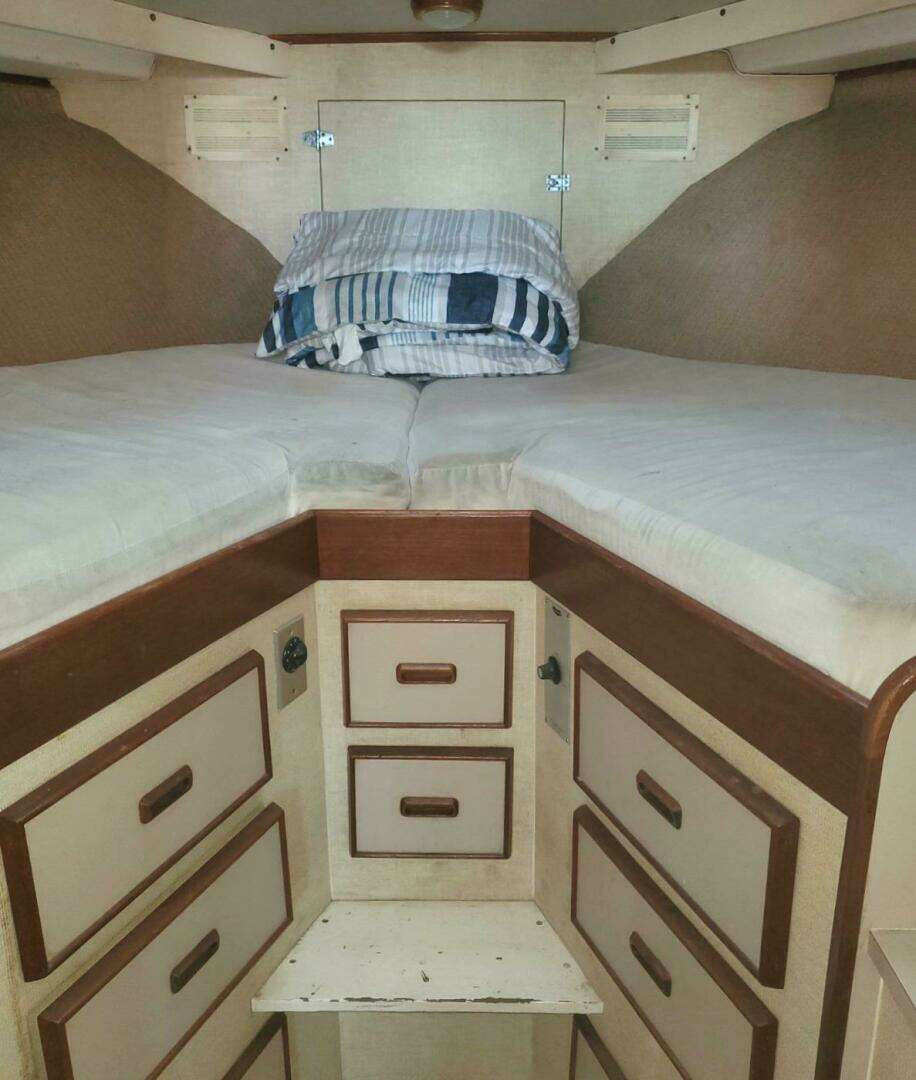 1979 Bertram 38 Convertible Sportfisher - Image 2