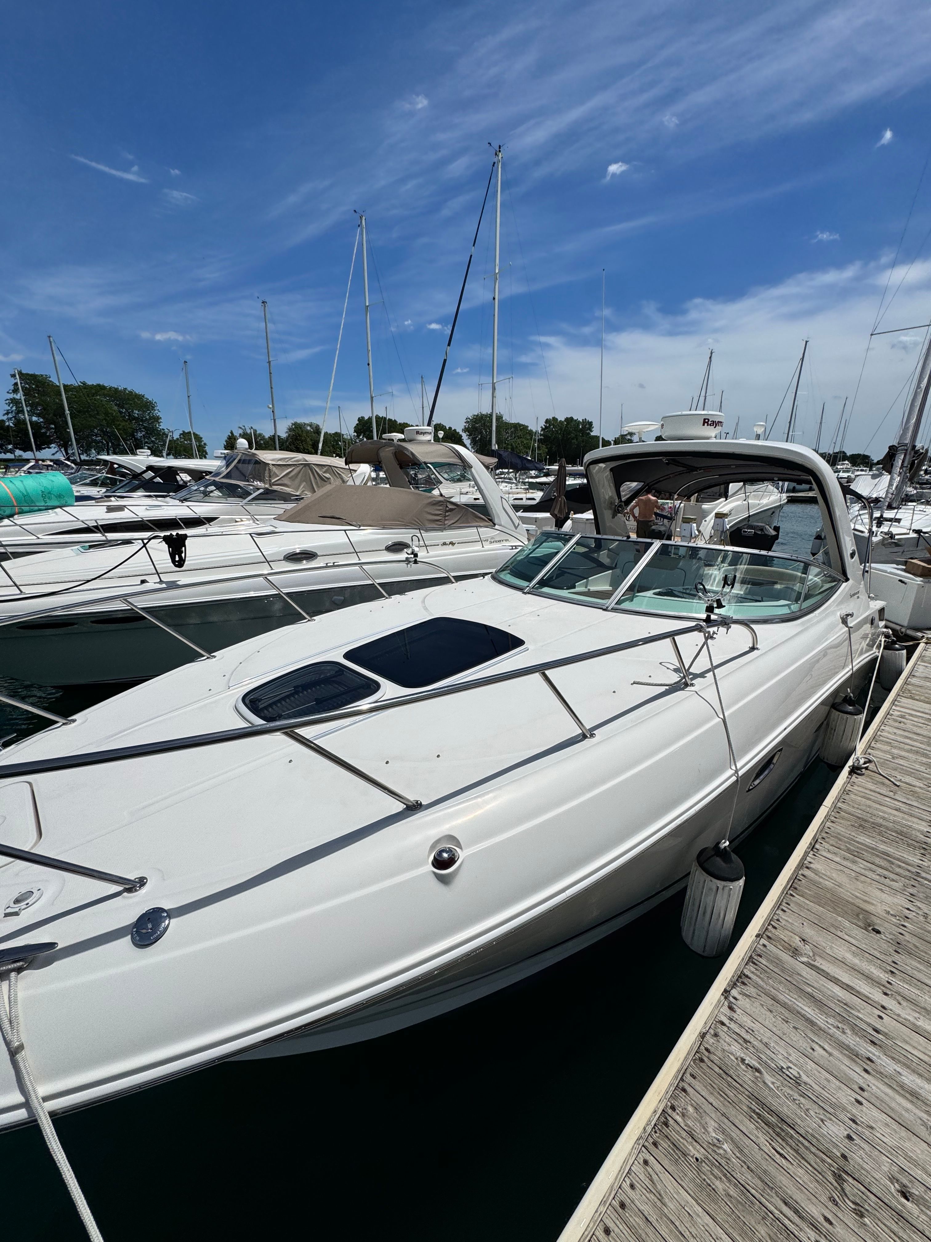 A white 2010 Sea Ray Sundancer 310 boat docked, with other boats visible in the background.