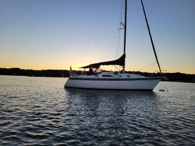 1983 Hunter 31
