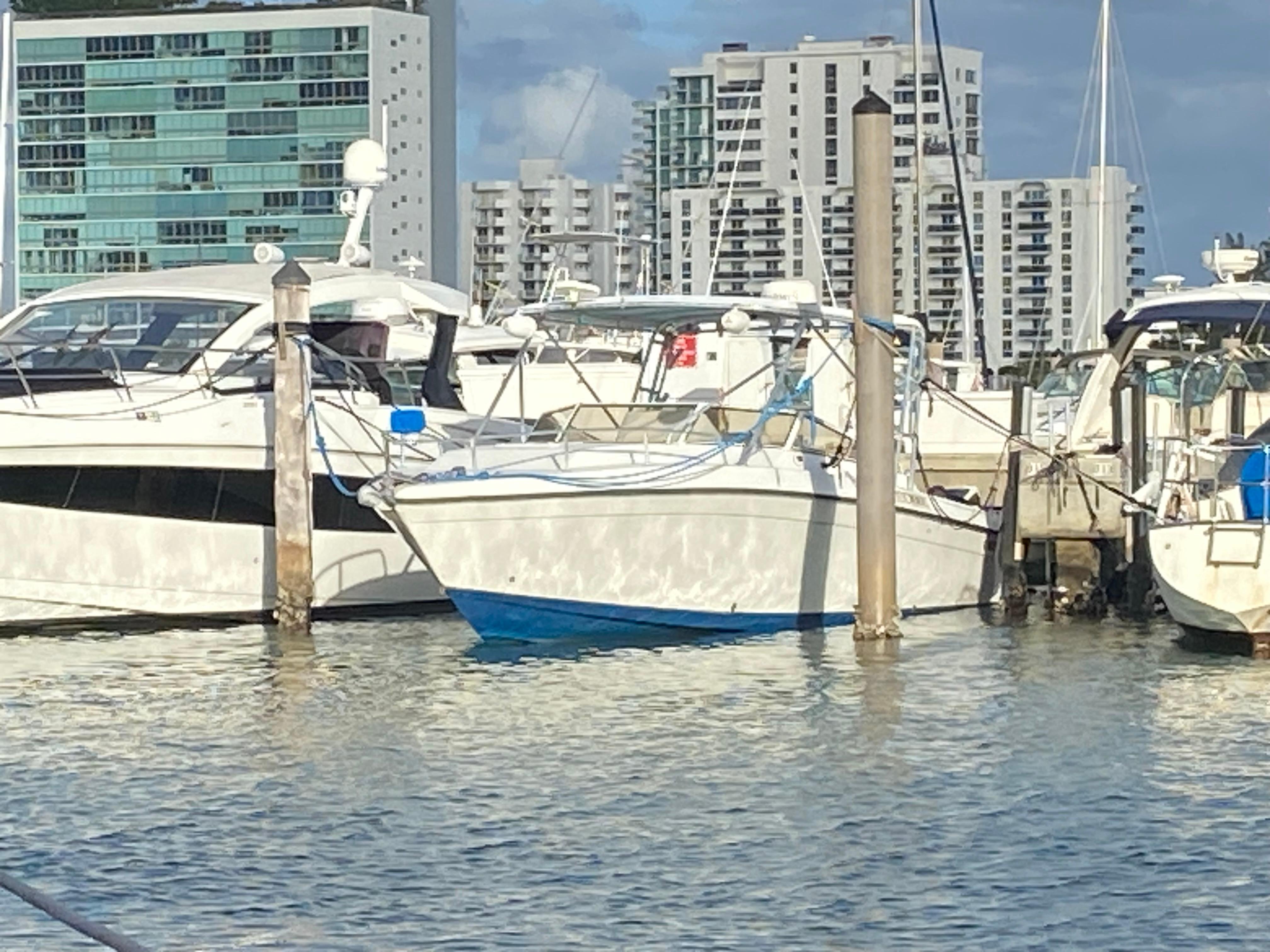 1998 Contender 35 Express boat docked in marina with city skyline background.