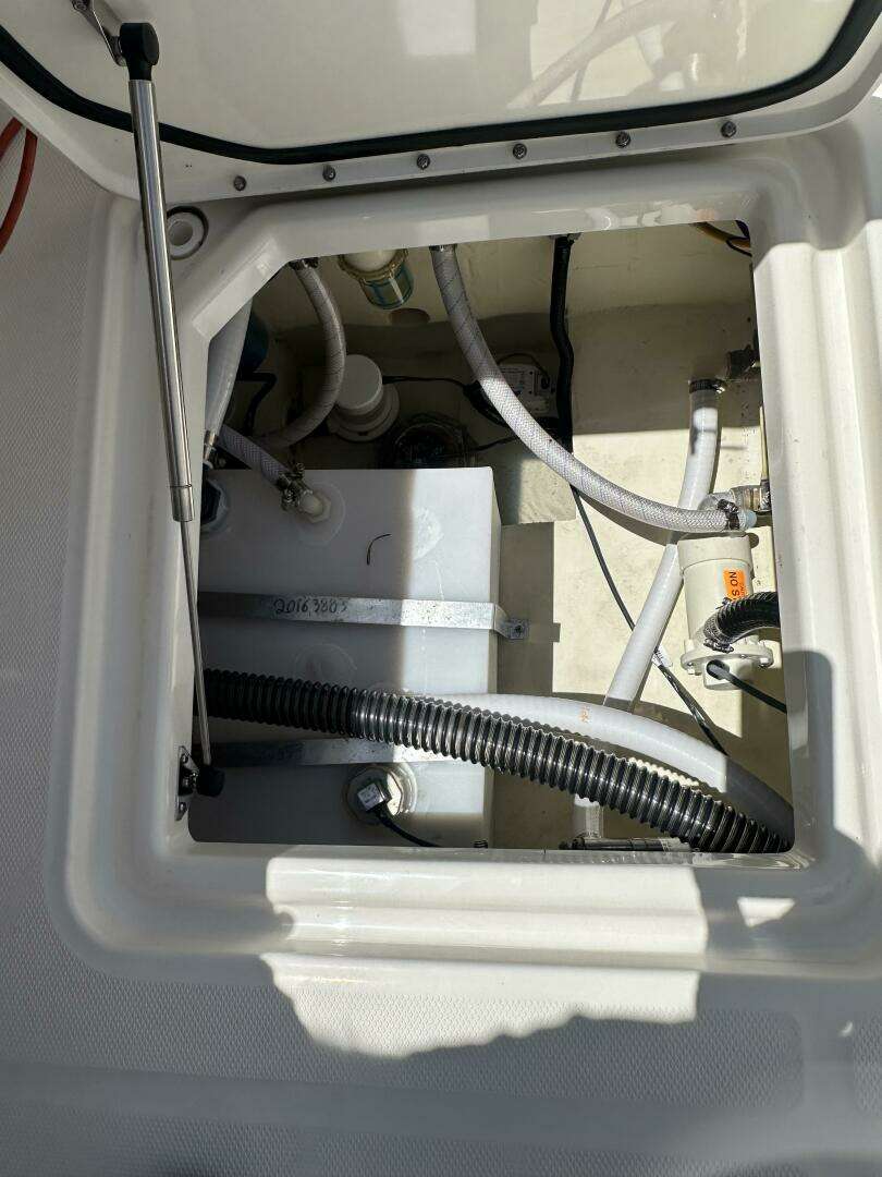2024 World Cat 280CCX - Image 50