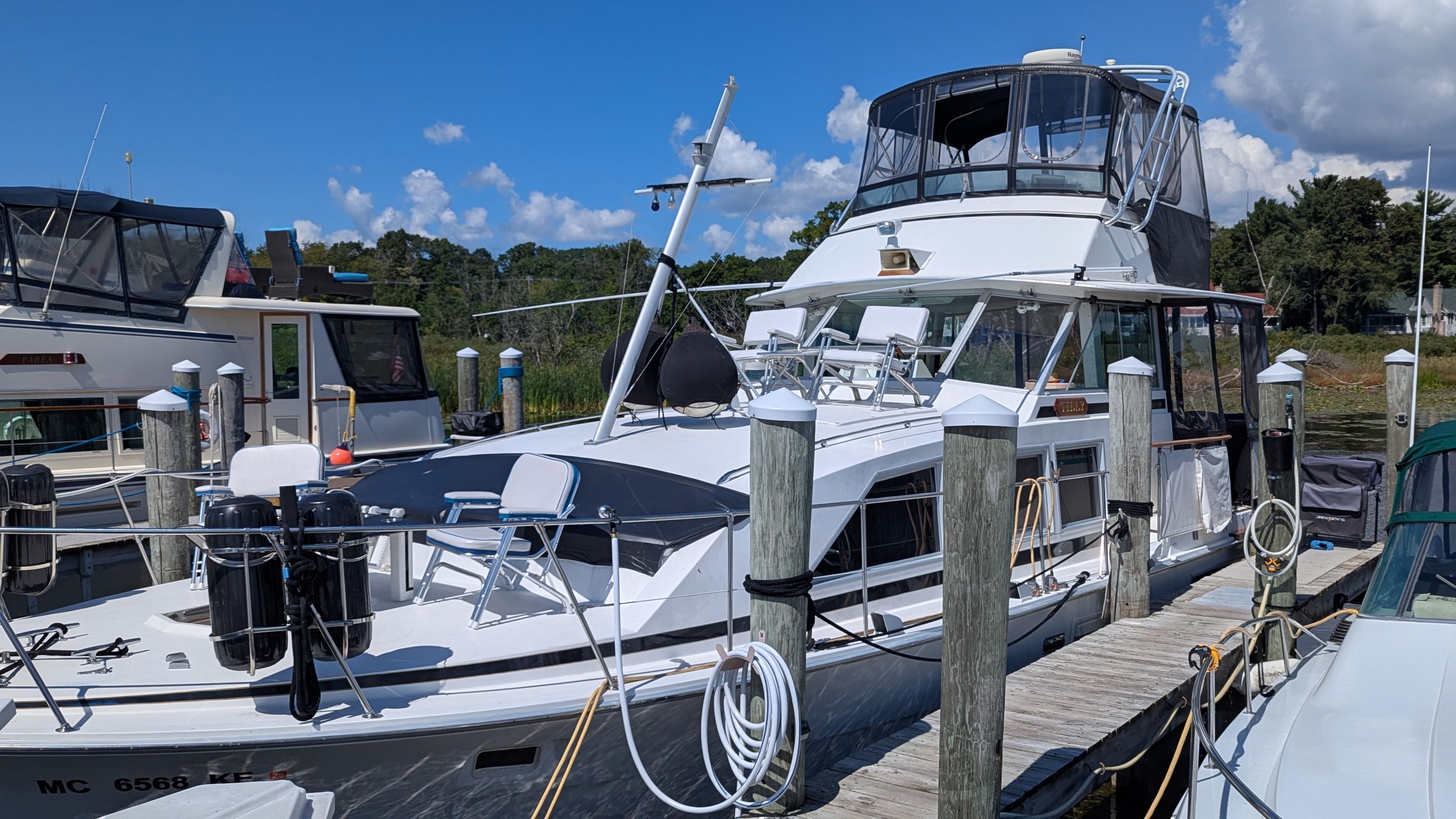 1975 Bertram 42 Motor Yacht - 3