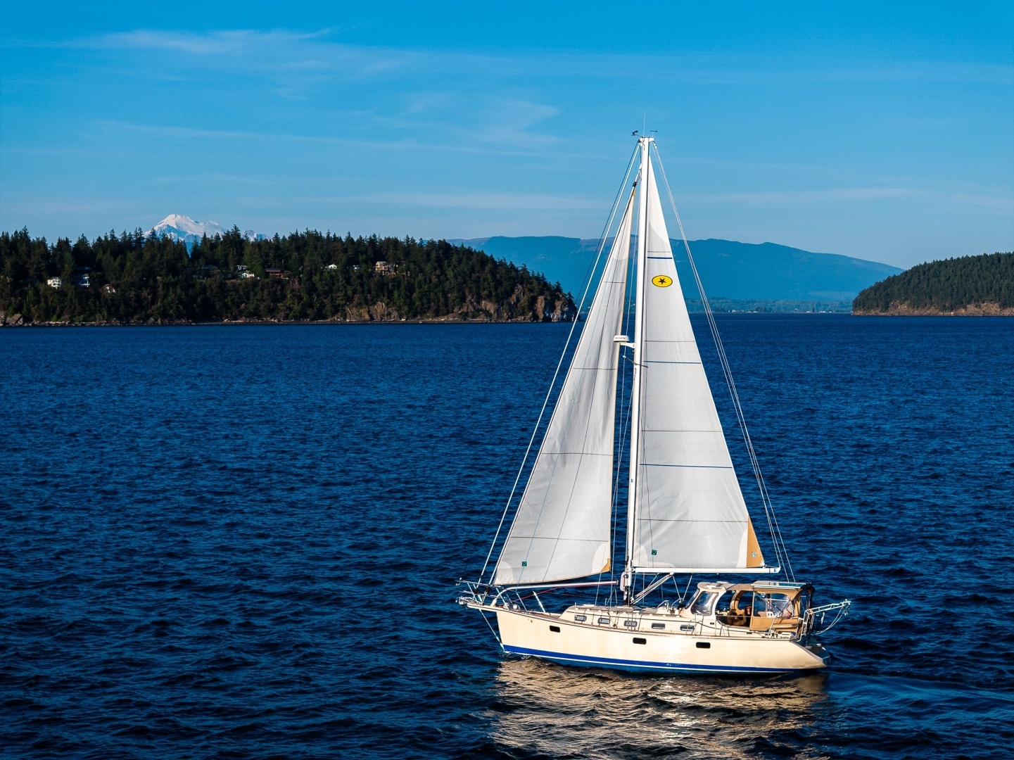 2020 Island Packet 349 - Image 5