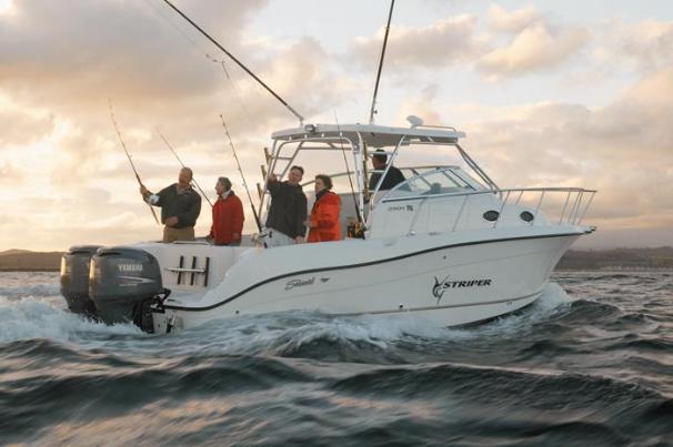 2006 Seaswirl Striper Striper 2901 Walkaround O/B