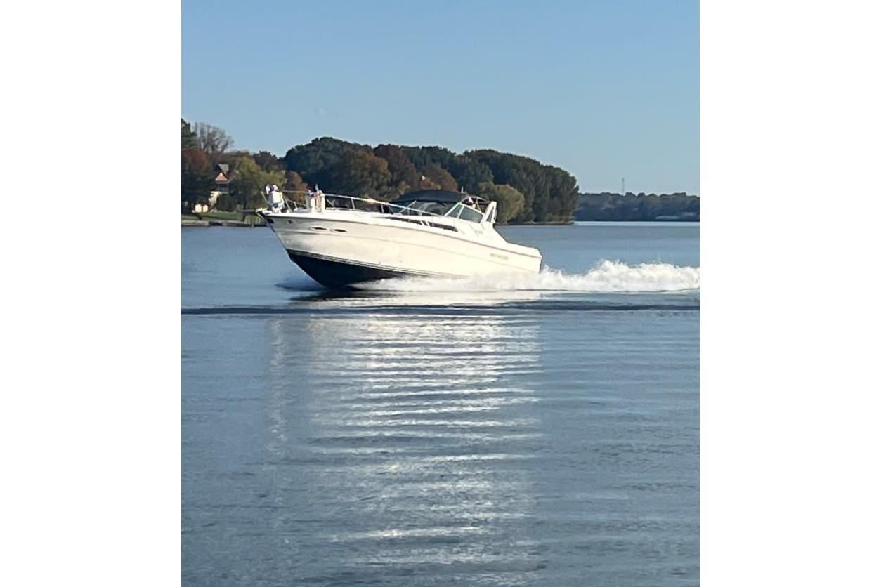 1988 Sea Ray 390 Express Cruiser