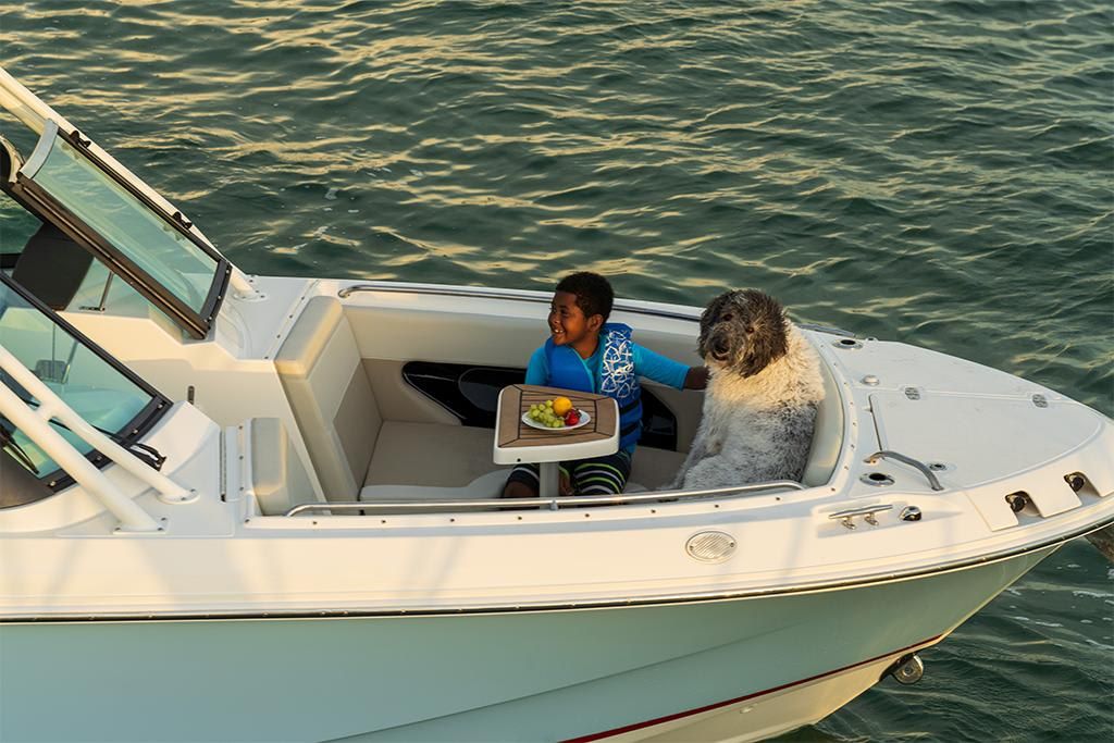 2023-Boston-Whaler-240-Vantage-MarineMax