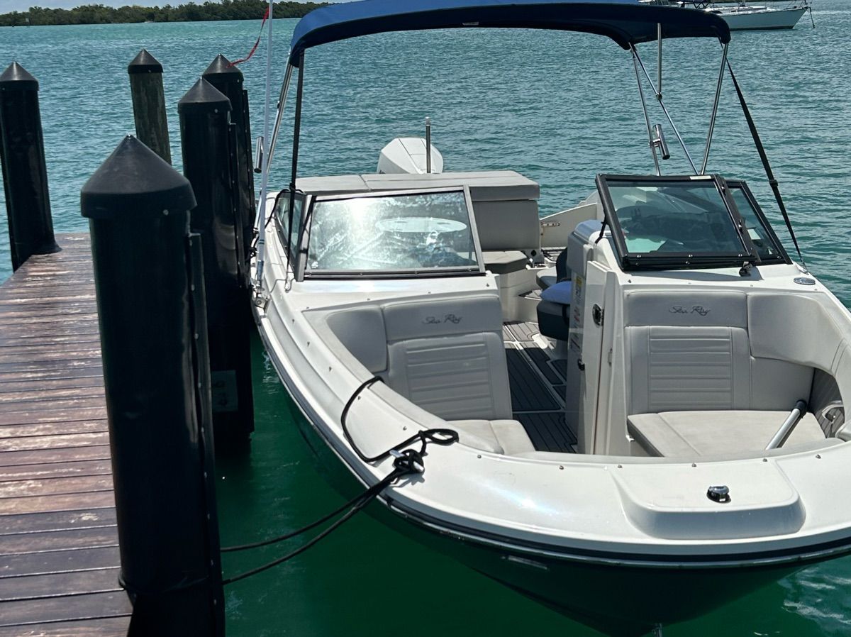 2020 Sea Ray SPX 230 Outboard - 8