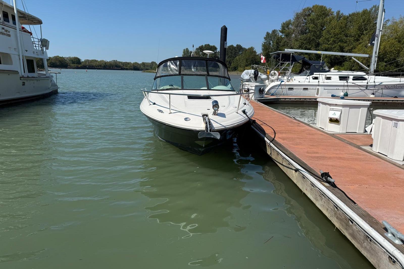 2007 Sea Ray 290 Sun Sport docked at marina, surrounded by calm waters and other boats.