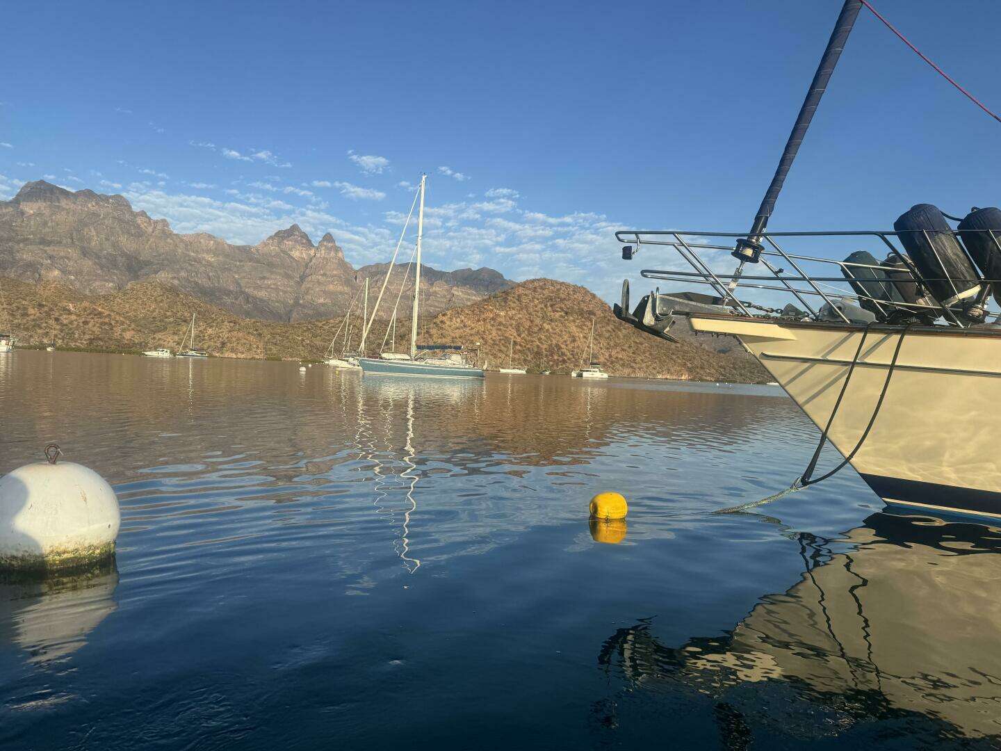 2005 Island Packet 445 - Image 2