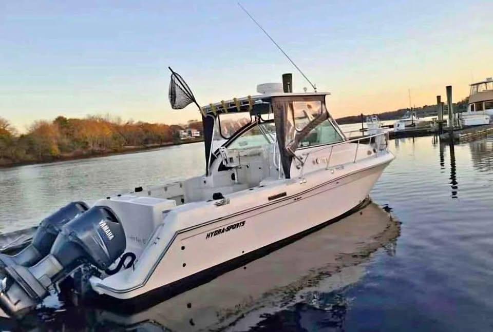 1998 Hydra-Sports 3100 SF