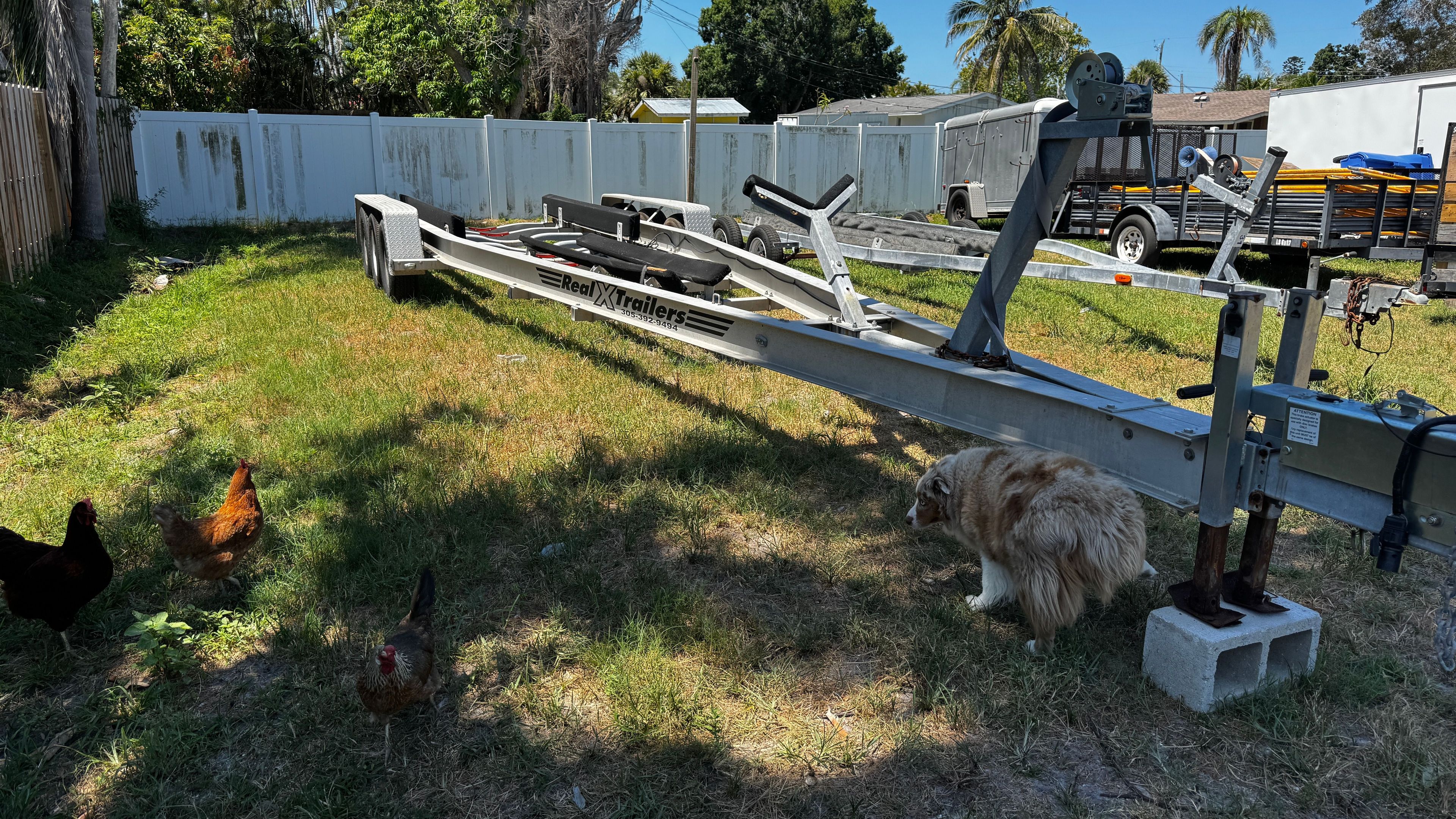 A boat trailer is parked on a grassy yard with chickens and a dog.