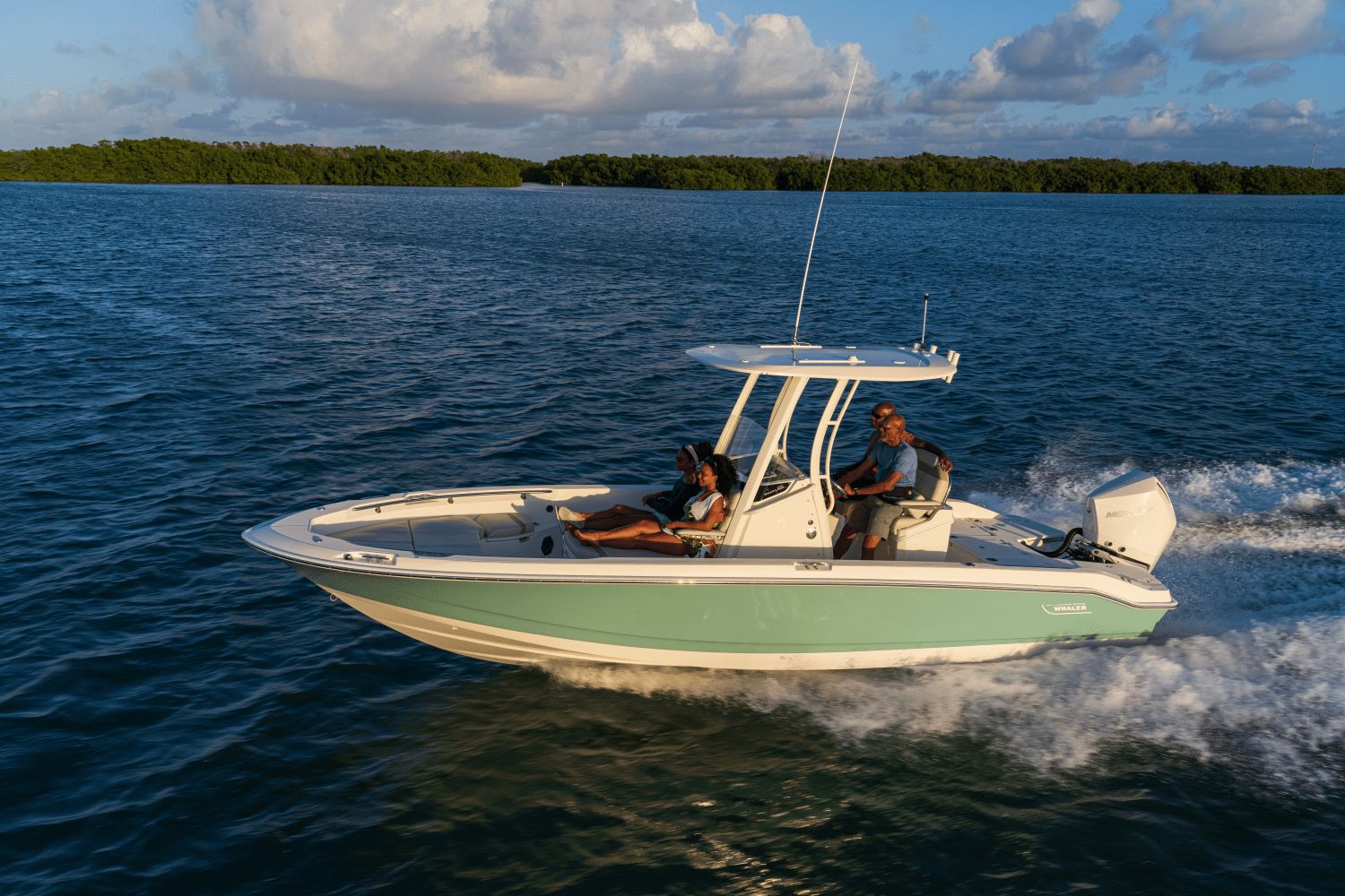 2026 Boston Whaler 250 Dauntless - 28