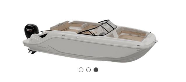 2025 Bayliner D22