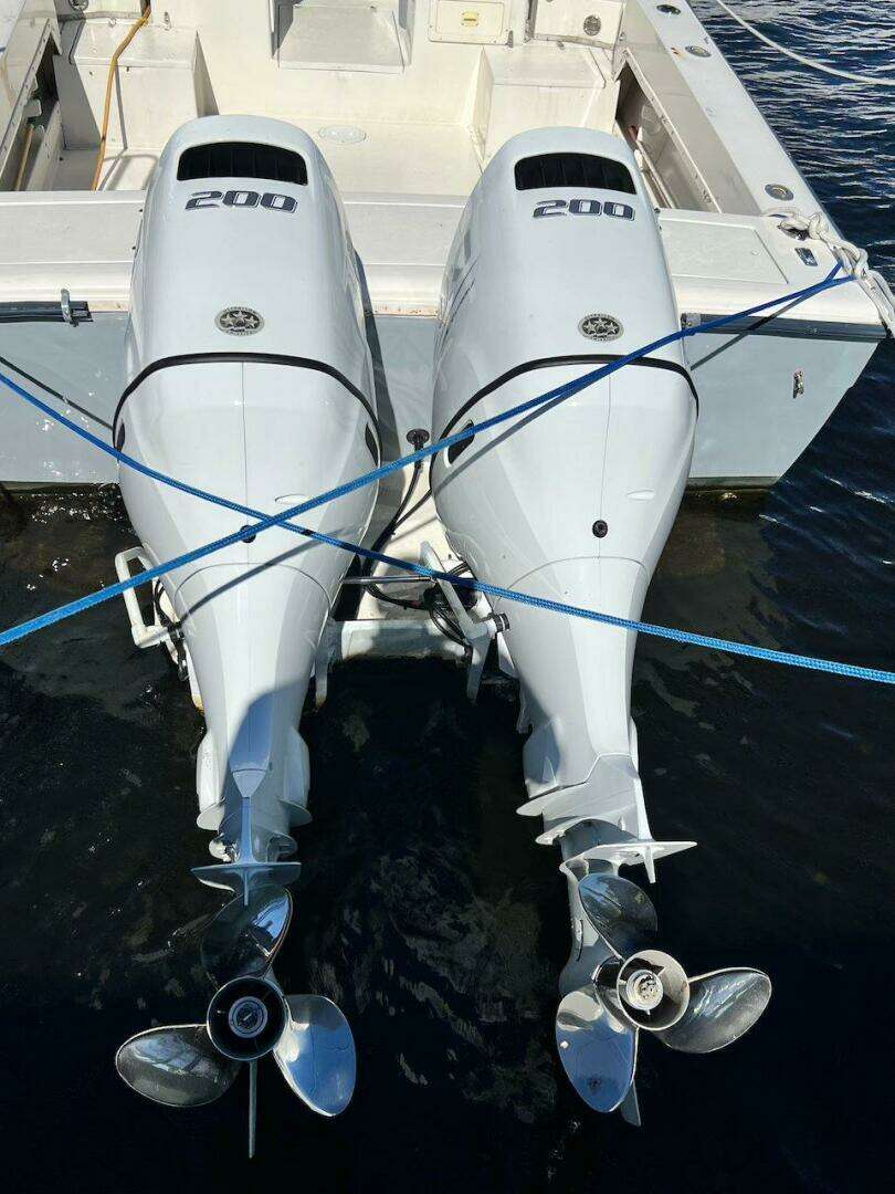 1988 Grady-White 25 SAILFISH - Image 3