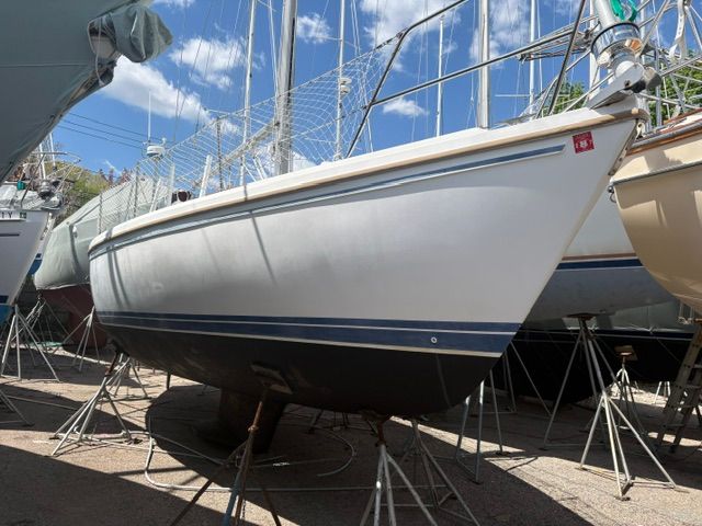 A 1989 Catalina 34 is on a dry dock, surrounded by other boats.