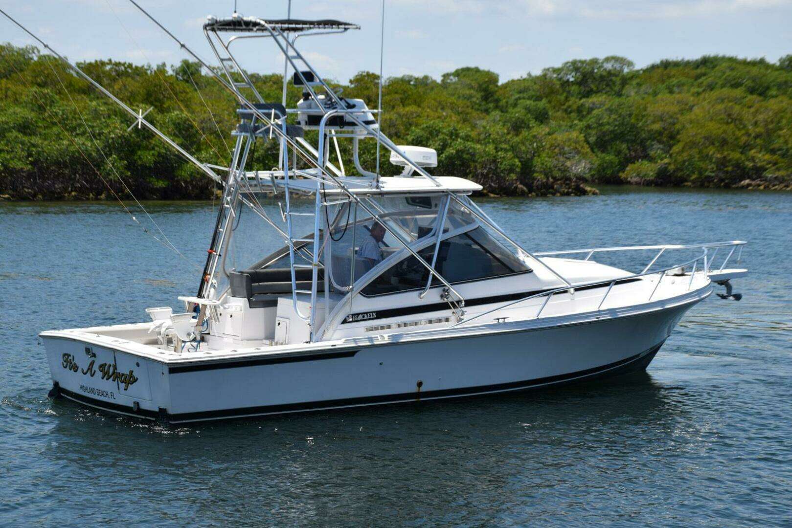 1995 Blackfin Combi 33 - Image 3
