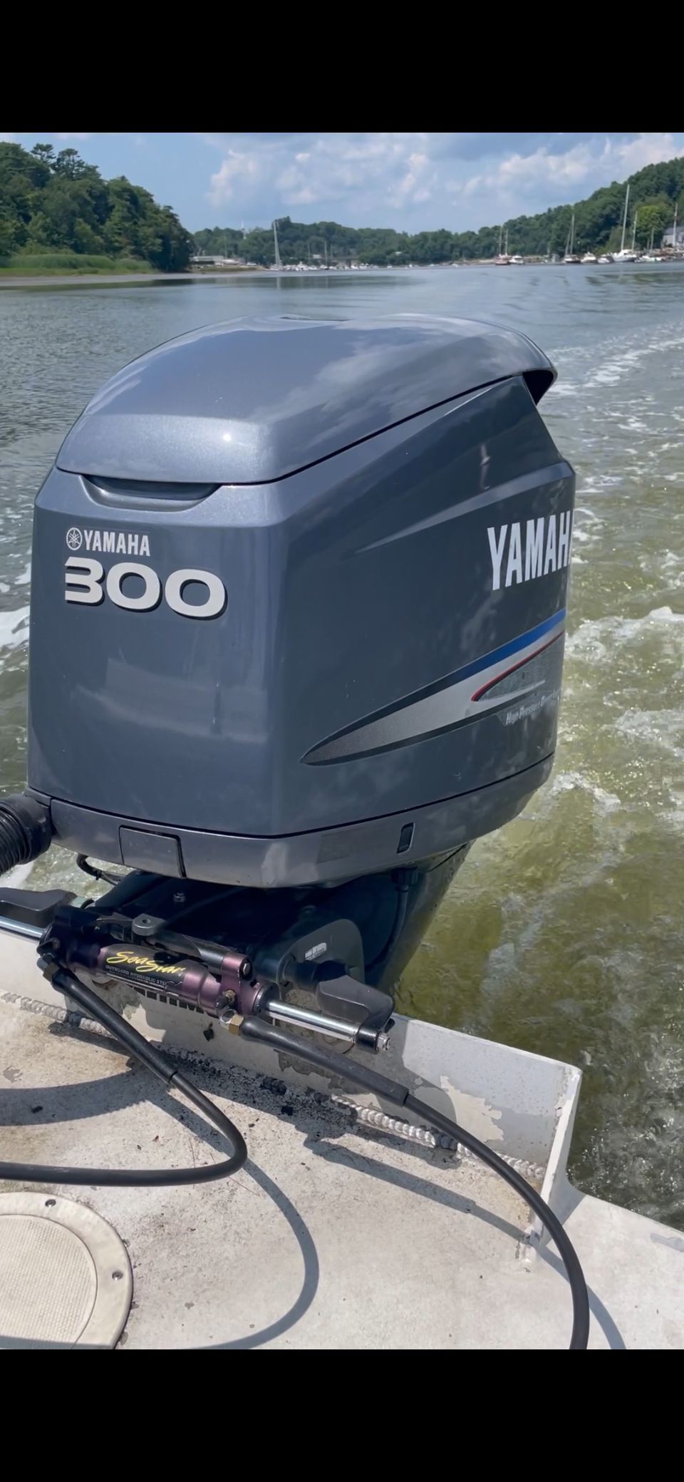 1989 Limestone 24 Runabout - 10
