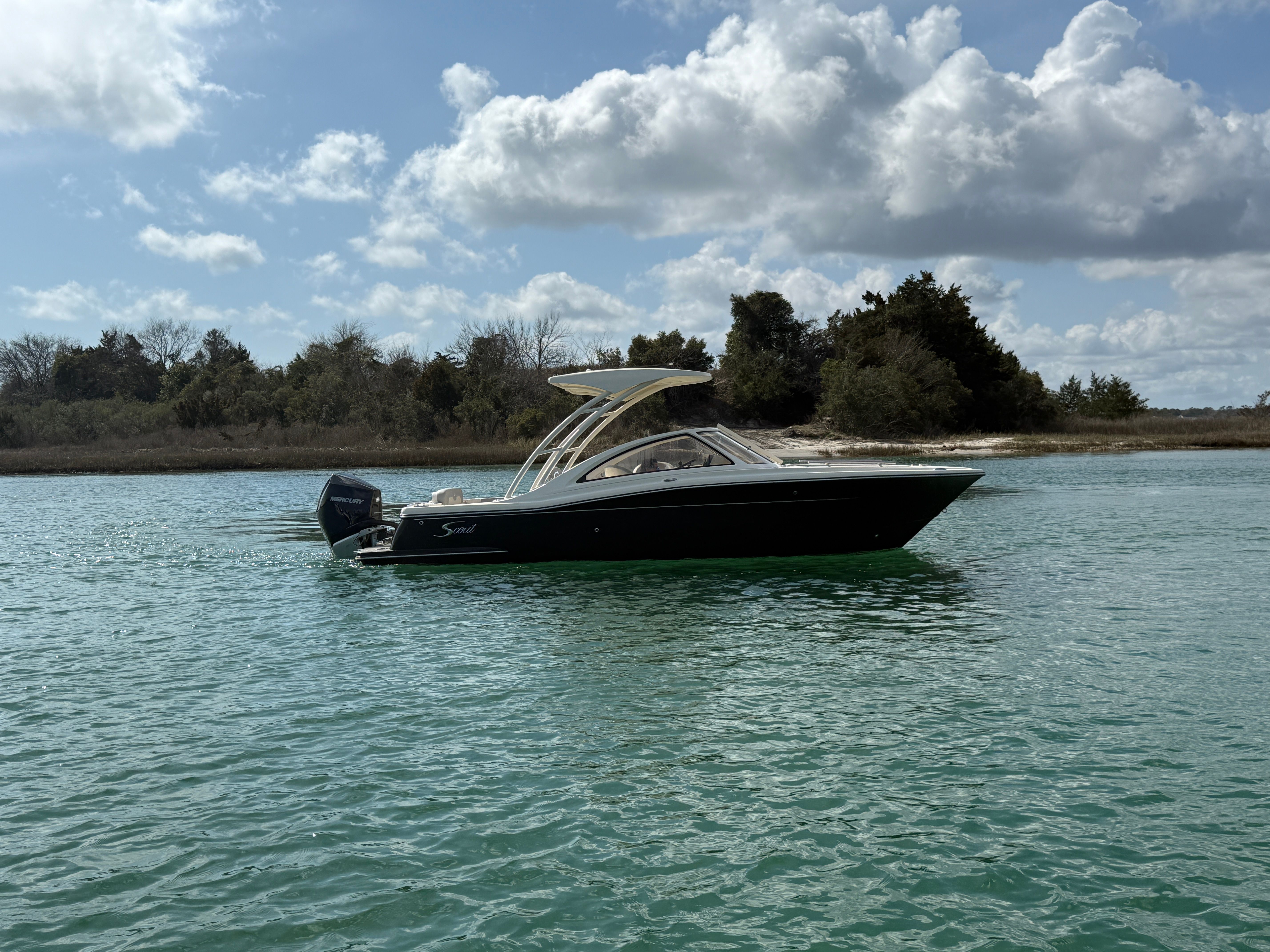 2026 Scout 240 Dorado