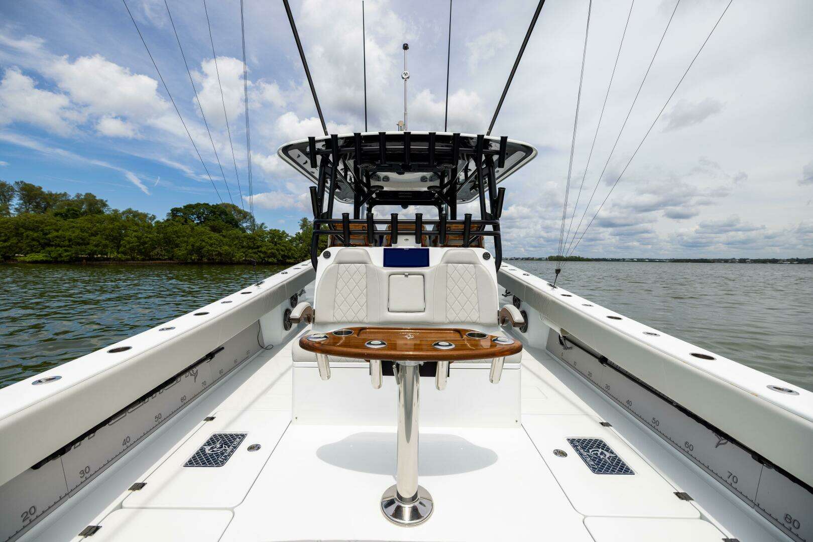 2025 Freeman 42 LR - Image 33