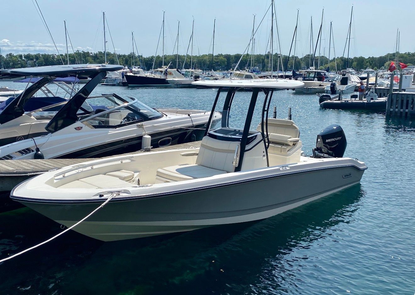 A 2023 Boston Whaler 250 Dauntless is docked in the water, surrounded by other boats in a marina.