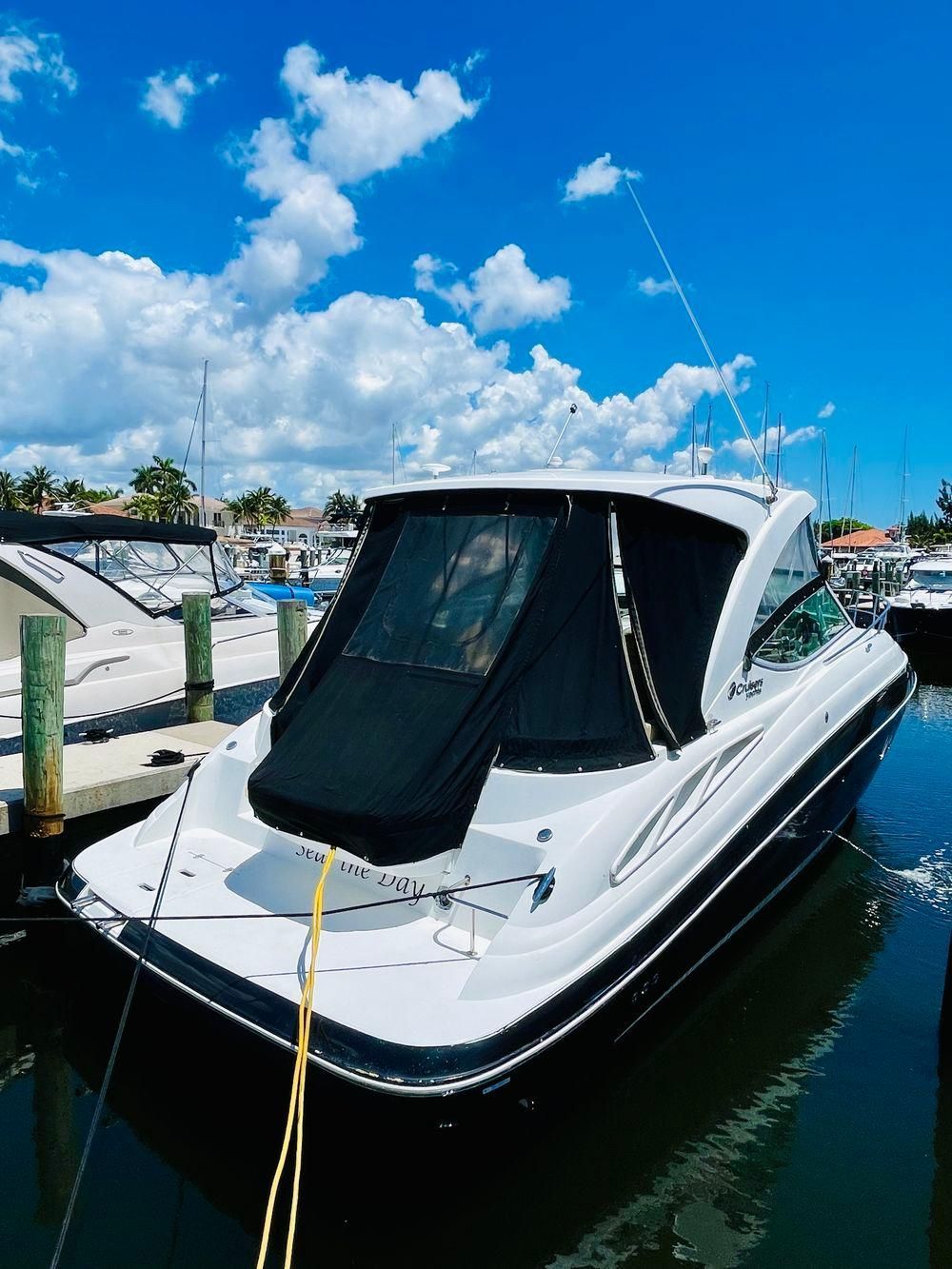 2012 Cruisers Yachts 350 Express - 5