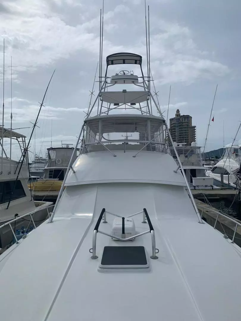 1988 Bertram 50 Convertible - Image 4