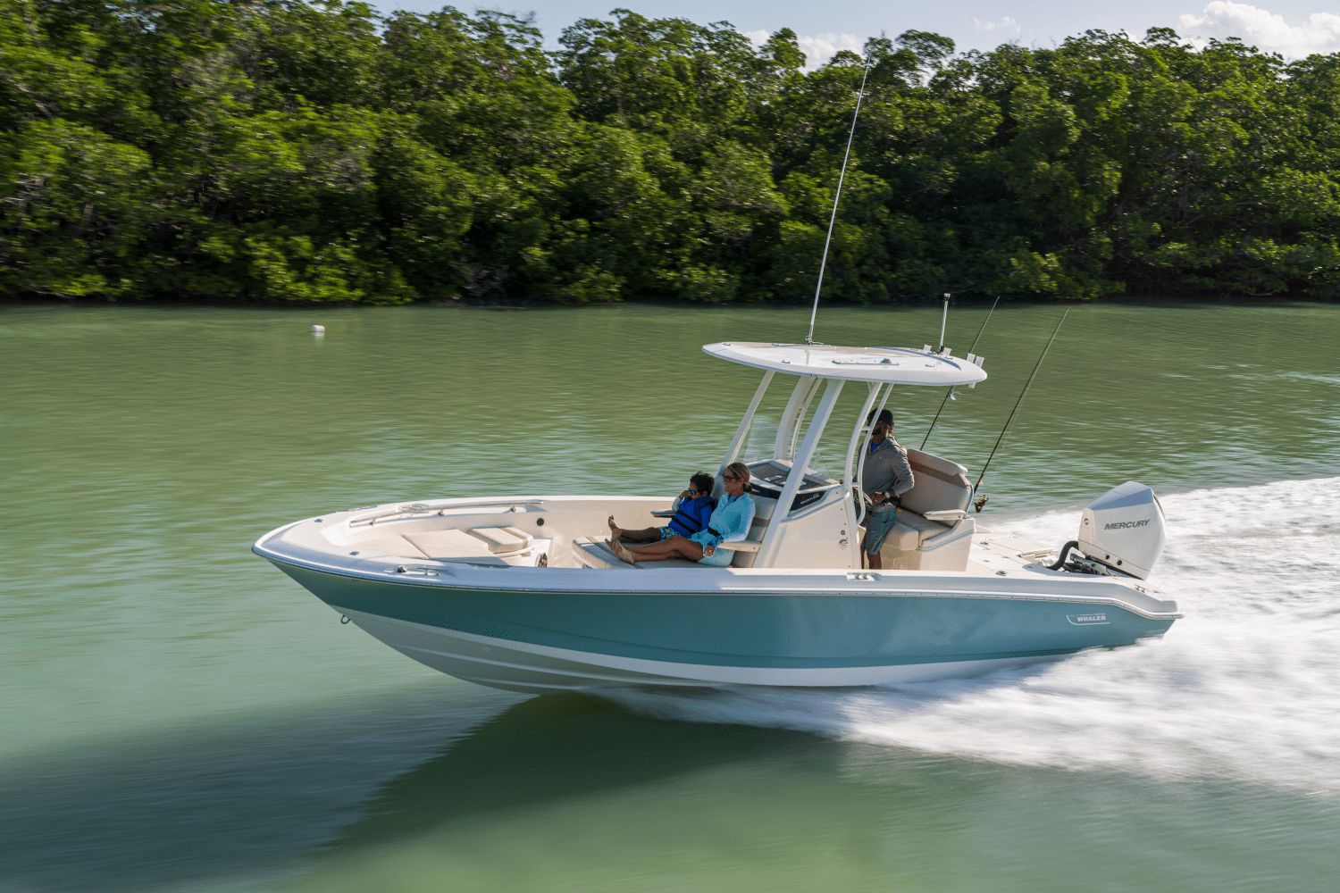 2026 Boston Whaler 250 Dauntless - 2