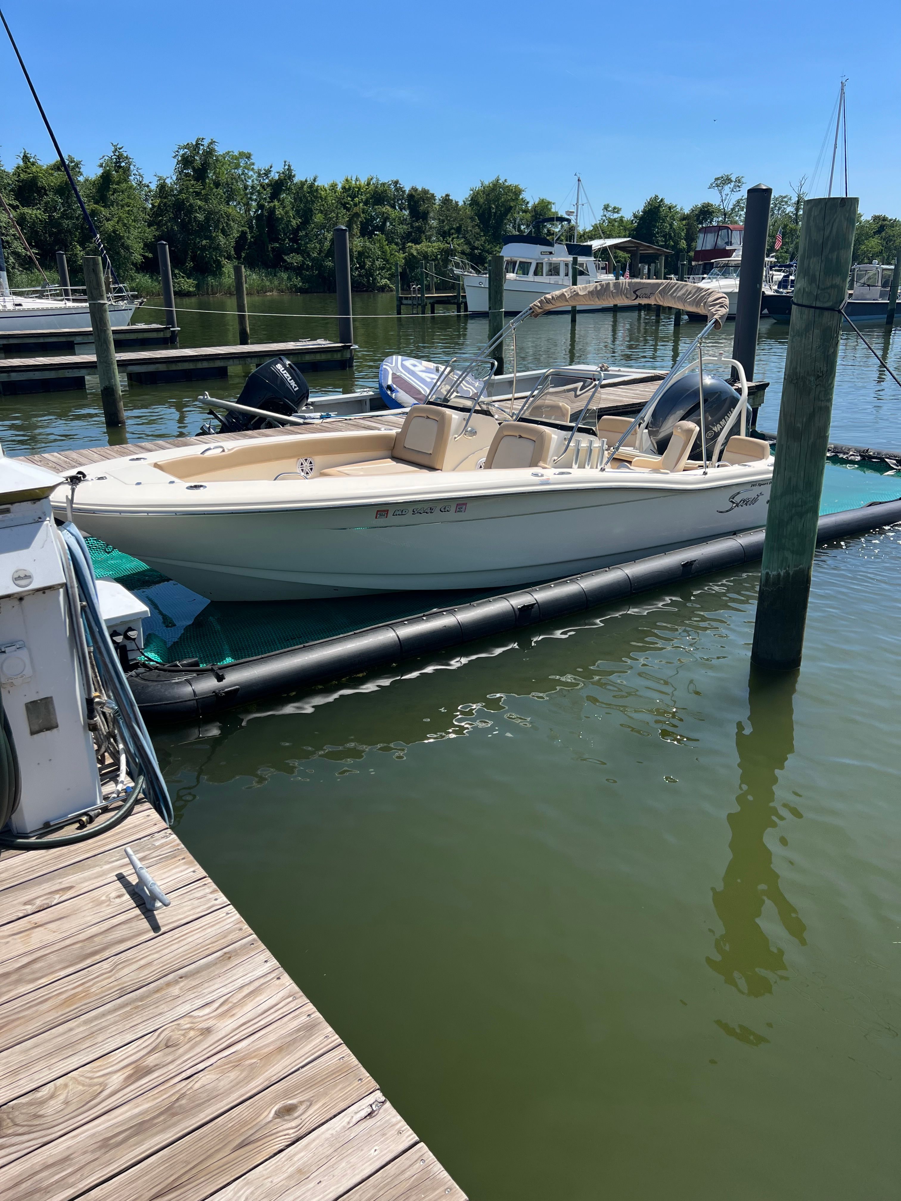 Scout 195 Sport Dorado from 2021 docked at a marina.