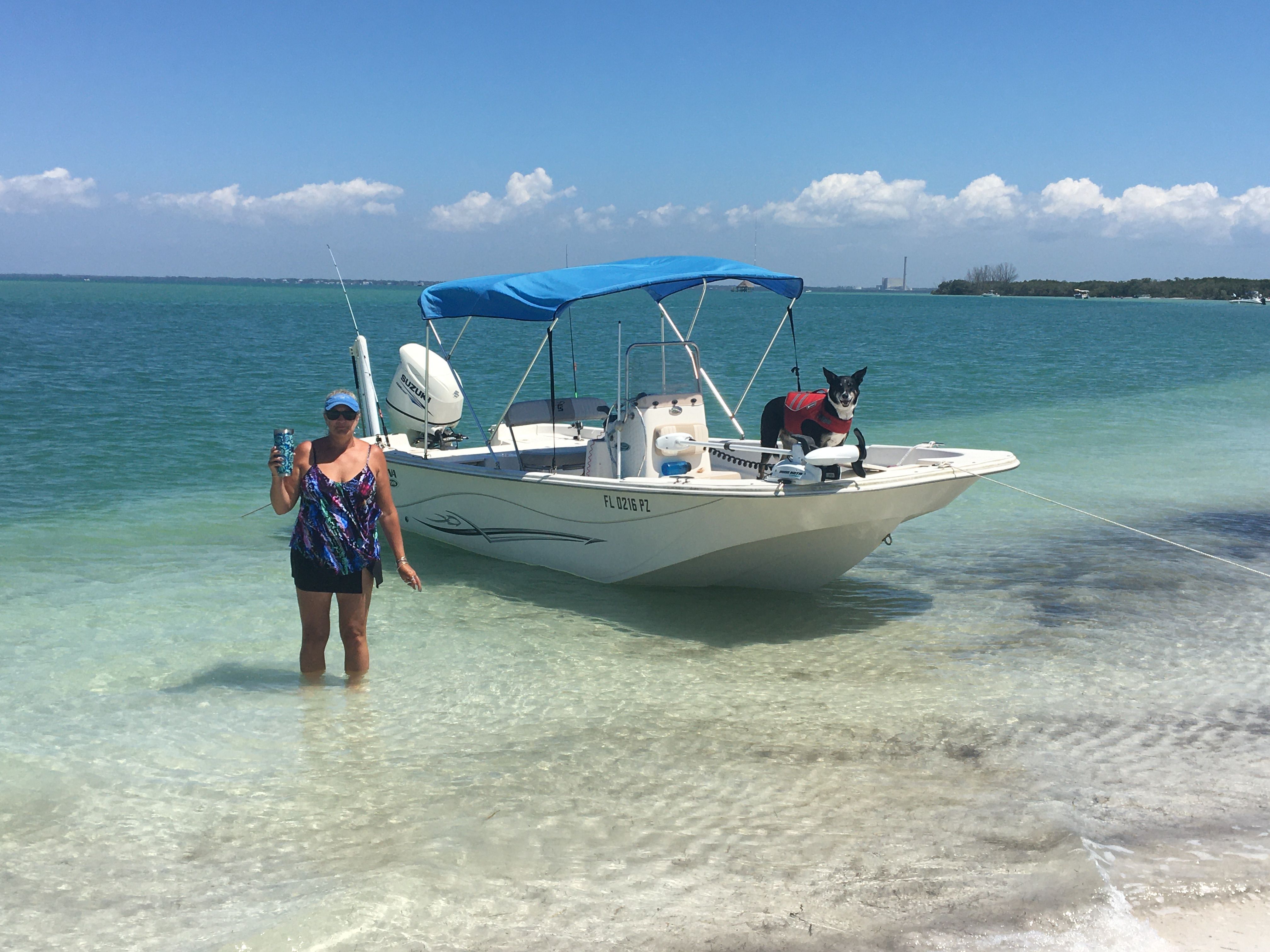2016 Carolina Skiff 198 DLV - 2