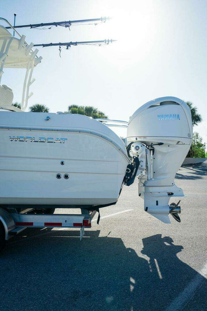 2024 World Cat 295 - Image 40